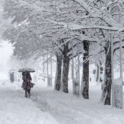 予報よりも横浜市内は積雪無く今日は通常営業です！